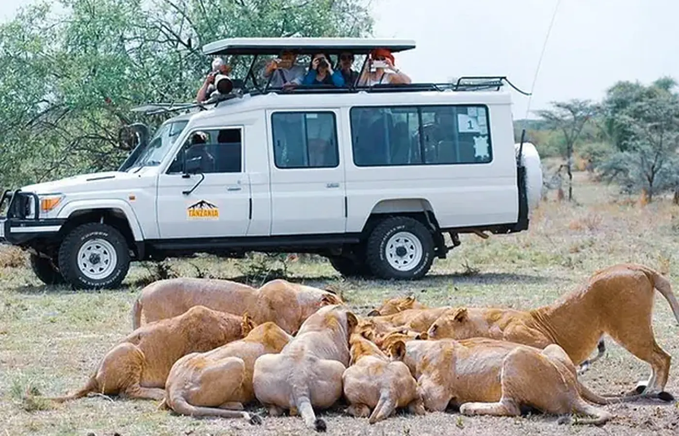 5-Day Tailor Made Midrange Lodge Serengeti Wildebeest Migration Safari From Zanzibar image 1