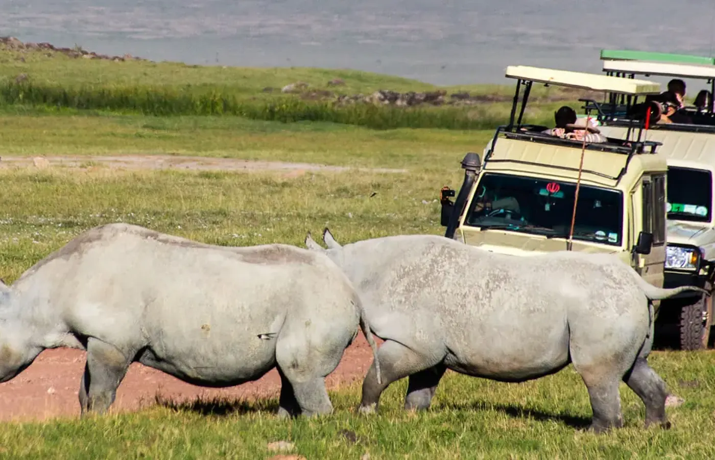 3-Day Premier Fly-In Tarangire Ngorongoro and Lake Manyara Safari From Zanzibar image 1