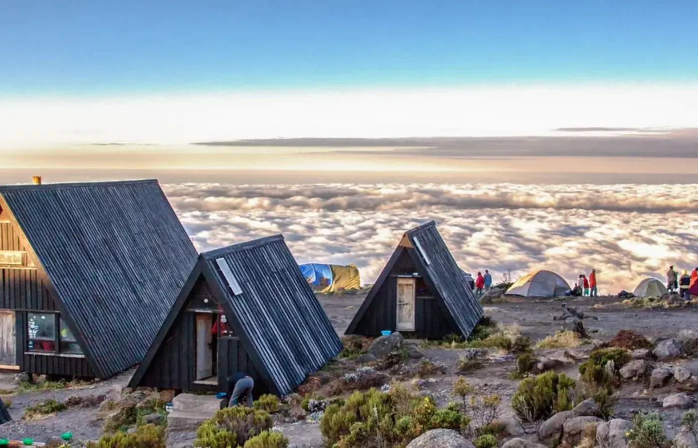5-Day Discover Fly-In Kilimanjaro Marangu Route Climb with Flexible Start image 1