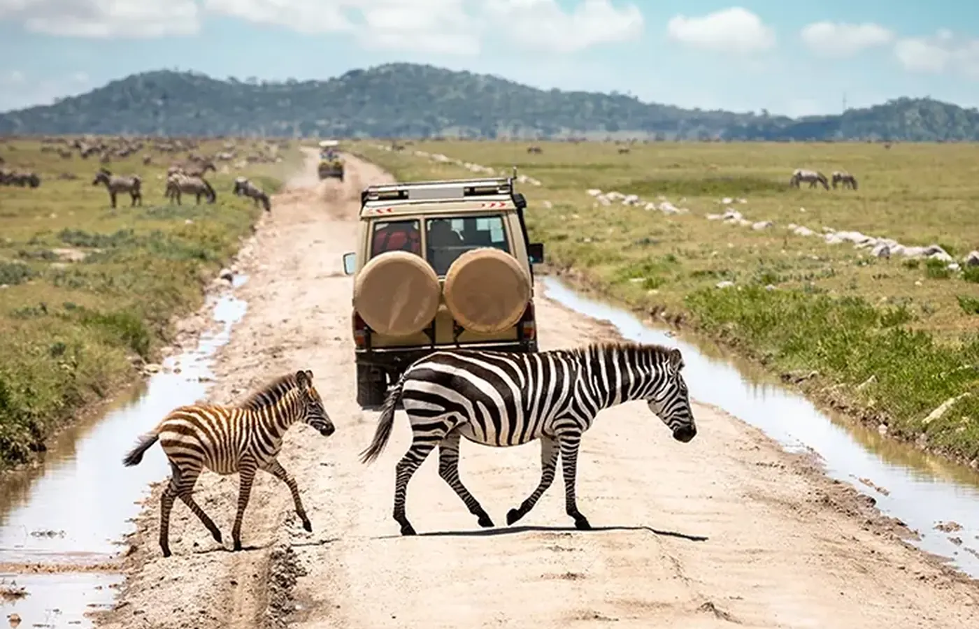 4-Day Ultimate Midrange Lodge Masai Mara Amboseli and Lake Nakuru Safari From Entebbe image 1