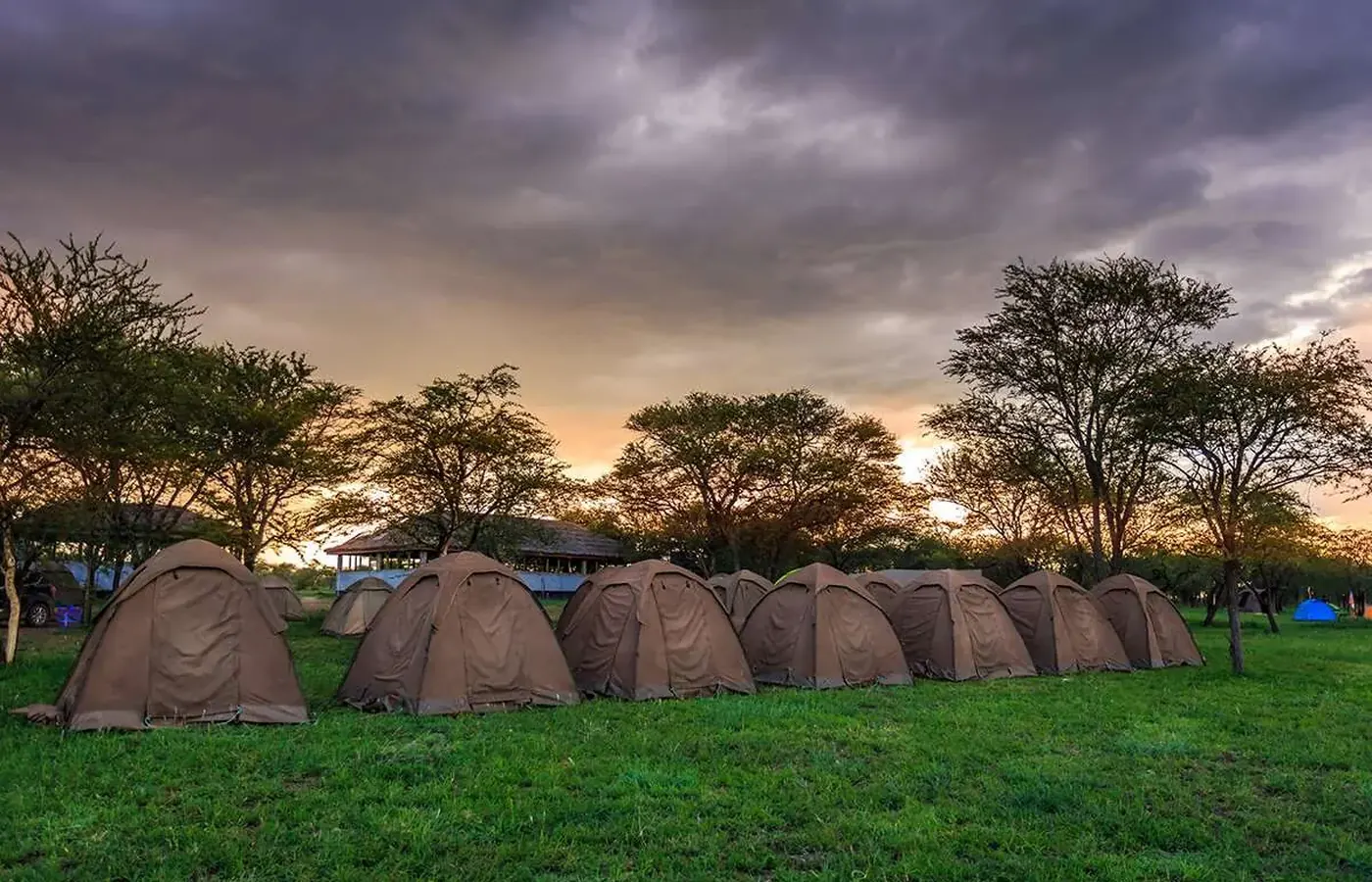 7-Day Classic Budget Friendly Kenya Tanzania Cross Border Safari From Kilimanjaro International Airport image 1