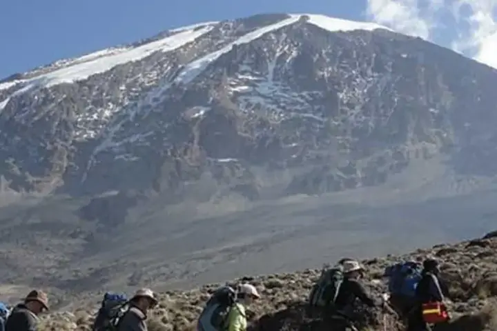 6-Day Tailor Made Budget Friendly Kilimanjaro Umbwe Route Climb From Moshi