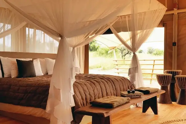 5-Day Classic Midrange Lodge Ndutu Calving Season Safari From Nairobi