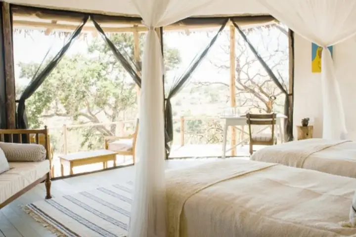4-Day Discover Budget Friendly Ndutu Calving Season Safari From Arusha