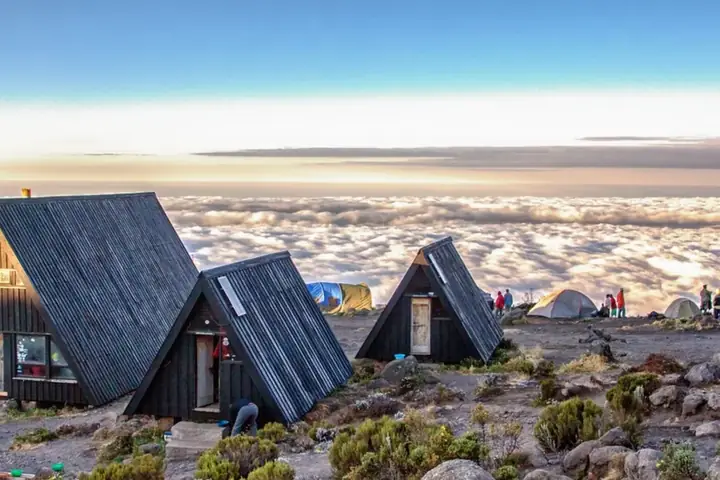 5-Day Private Photography Kilimanjaro Marangu Route Climb From Zanzibar