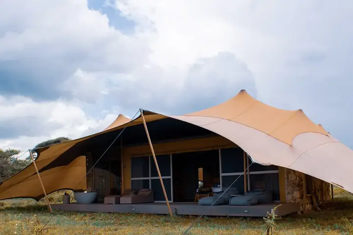 3-Day Classic Group Joining Northern Circuit Safari From Kilimanjaro International Airport