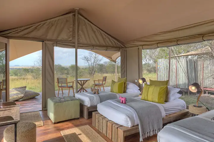 7-Day Classic Budget Friendly Kenya Tanzania Cross Border Safari From Kilimanjaro International Airport